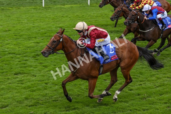 270724-Race 2-Rage Of Bamby-4656 - Race 2 2.40pm Sky Bet Dash Handicap