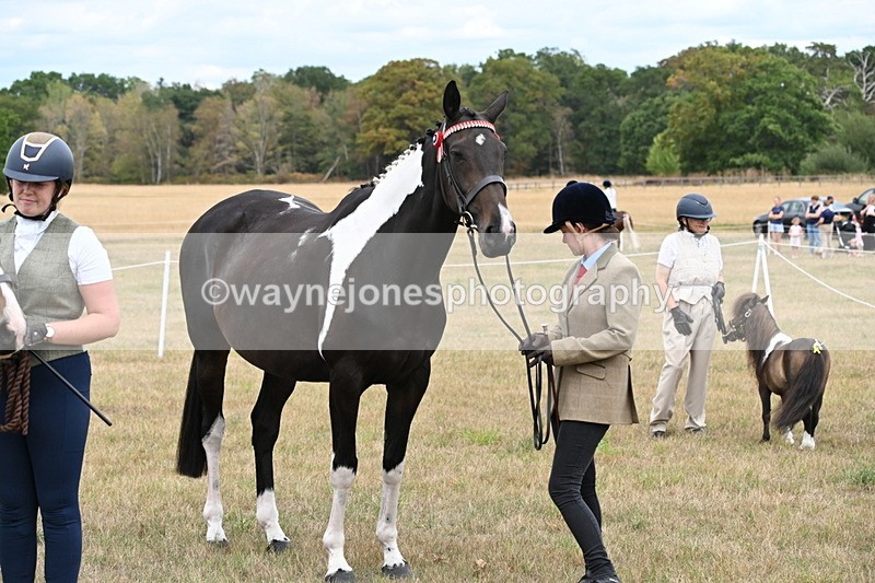 WJ6_5457 - Class 18 In-hand Coloured