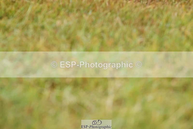 240824X-084500-21858 - D70 Section C and D 8.30 to 9.30