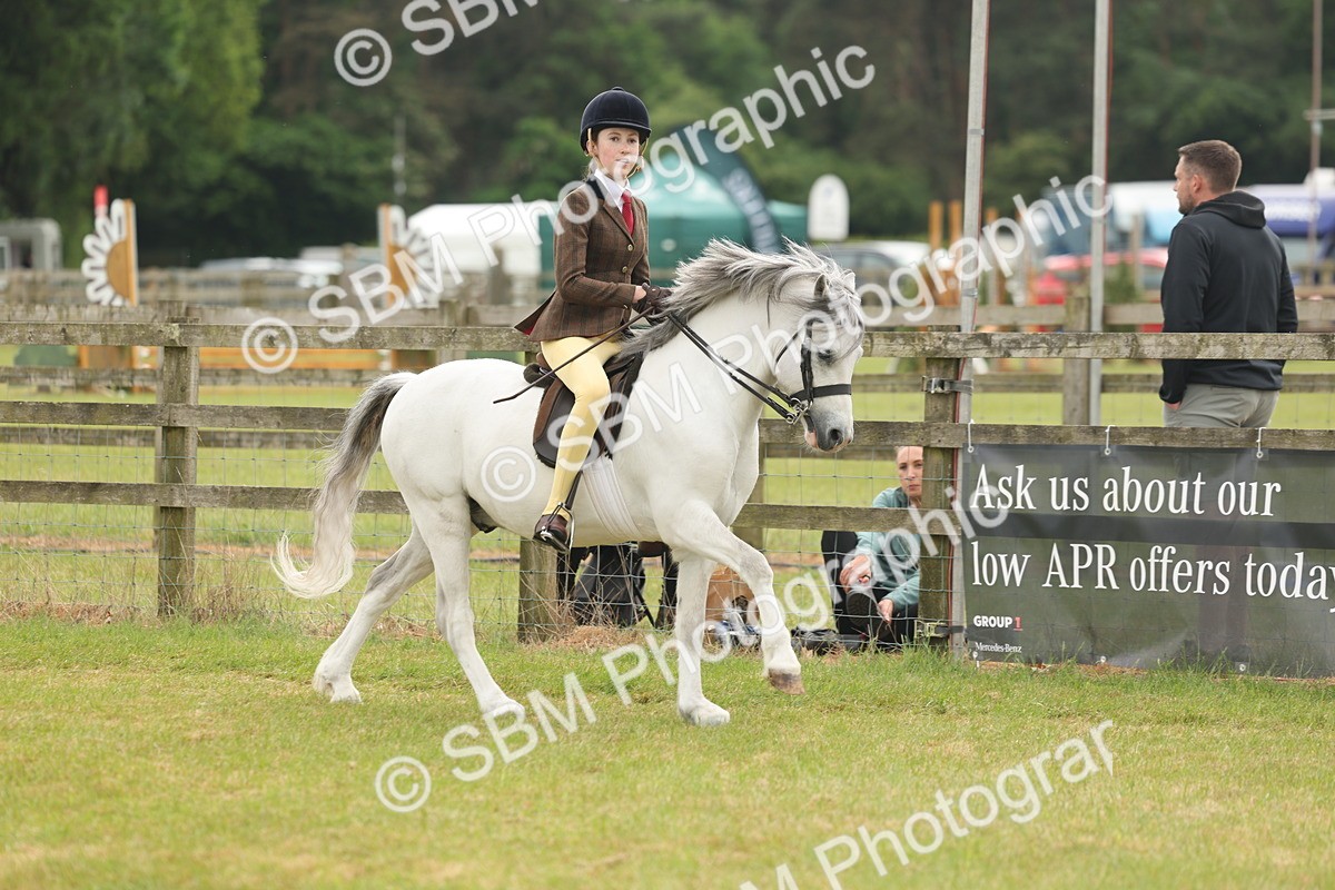 SBM_07101 - Class 76-77 - Ridden M&M Welsh Ponies
