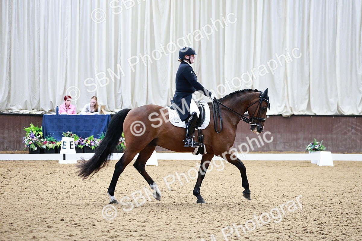 SBM_004054 - Class 13-19 - Novice FSM-INT 1 - 9.00-9.54