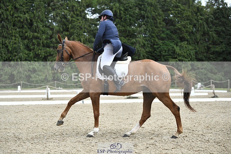 230812-151105-04940 - Cls 8 FEI PSG Silver