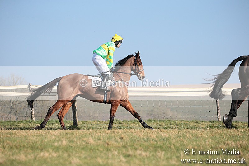 PtP 230219 279 - Vine & Craven Point-To-Point - Barbury 23/02/19