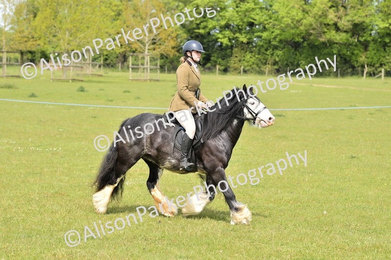 20260426-2356 - Class 20 - Beginner Working Hunter