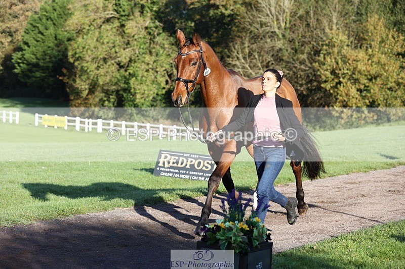 241027-085434-14887 - 301-Ilaria.Serra-DREAM.MACHINE