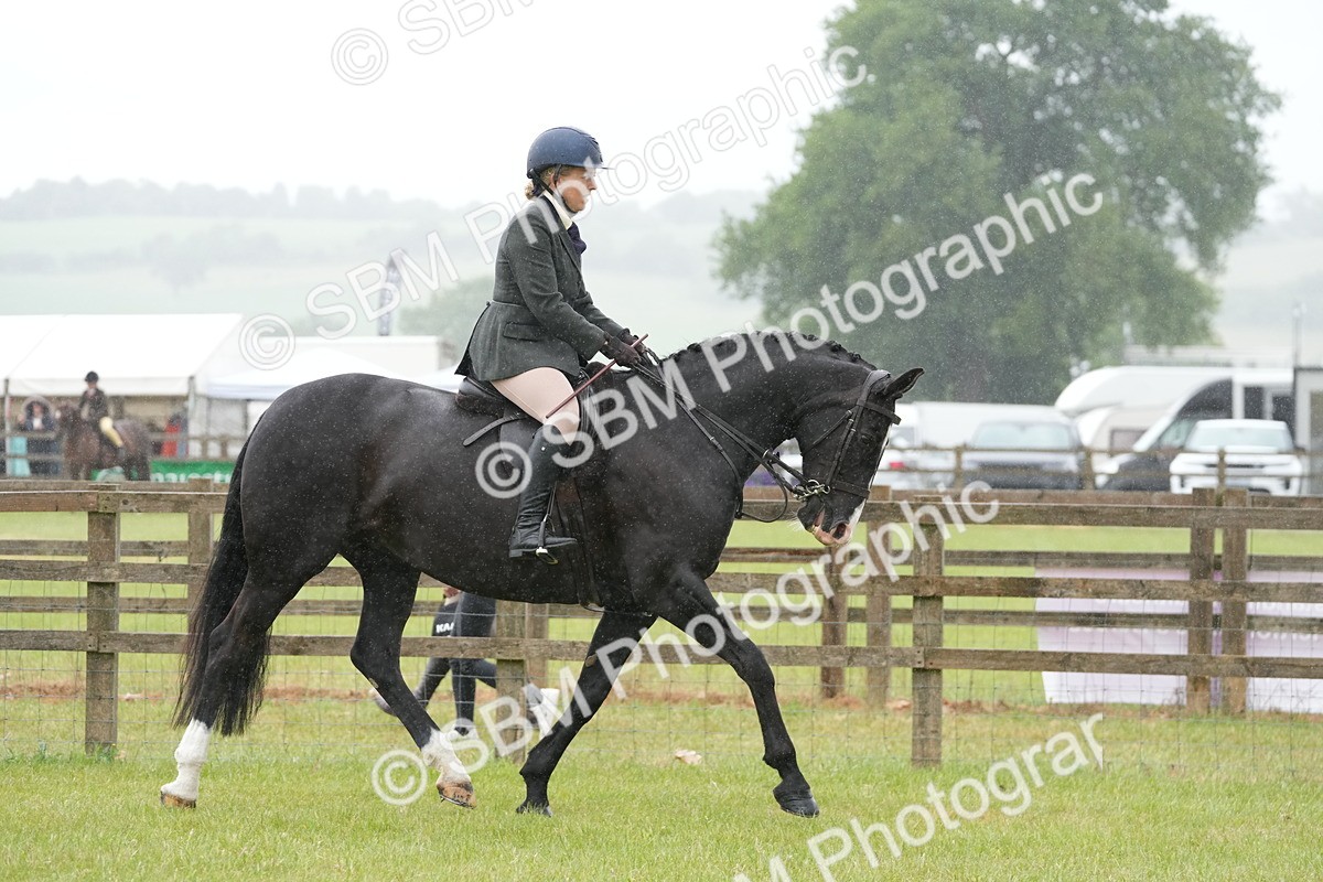 SBM_12644 - Class 97-98 - LIHS BSHA Rising Star Working Show Horse Hunter
