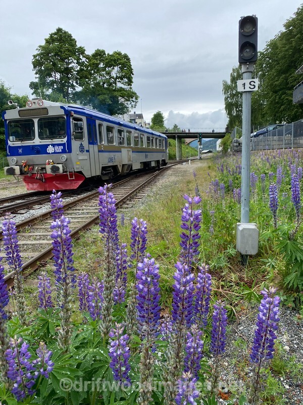 Norway Andalsnes Rauma Railway 20 - Norway