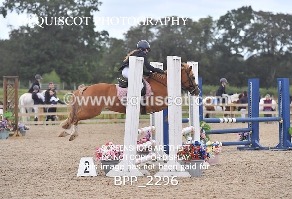 BPP_2296 - DERBY CLASS 6 - 70CM