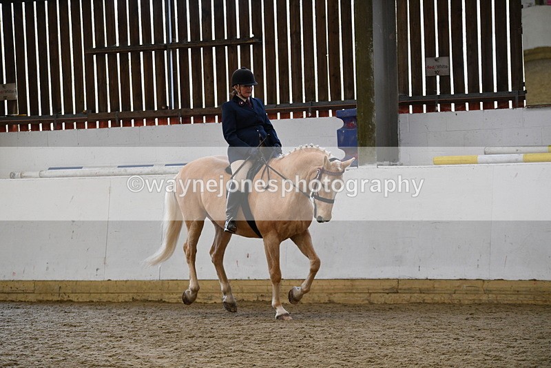 WJ5_6133 - Class 9 Ridden Veteran