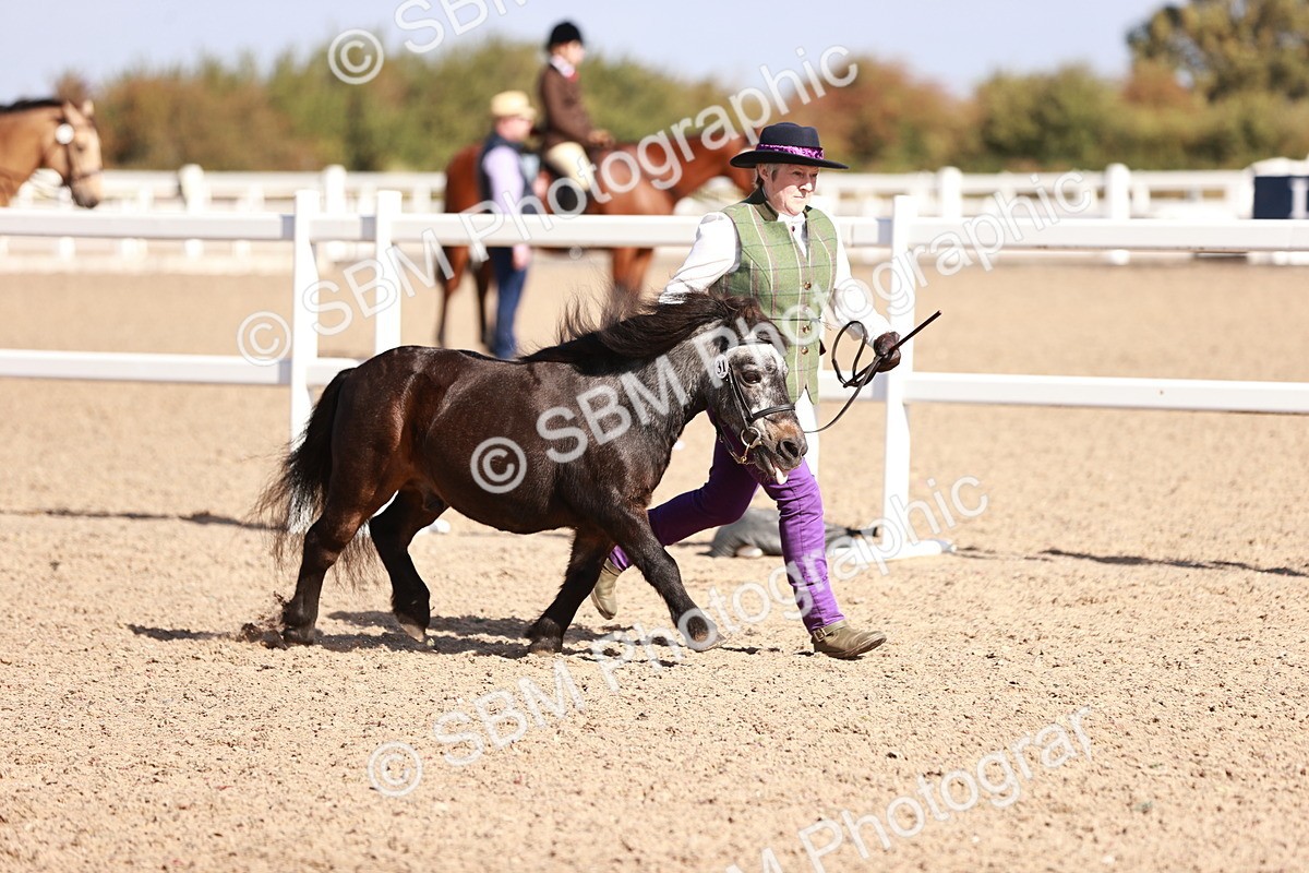 SBM_22767 - Class 705 - IH Combination 65+