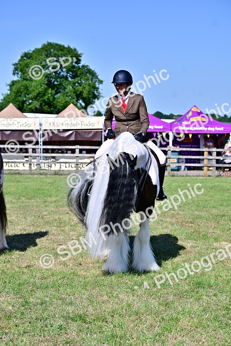 SBM_19453 - Class 101-102 - BSPS LIHS Performance Coloured Horse/Pony