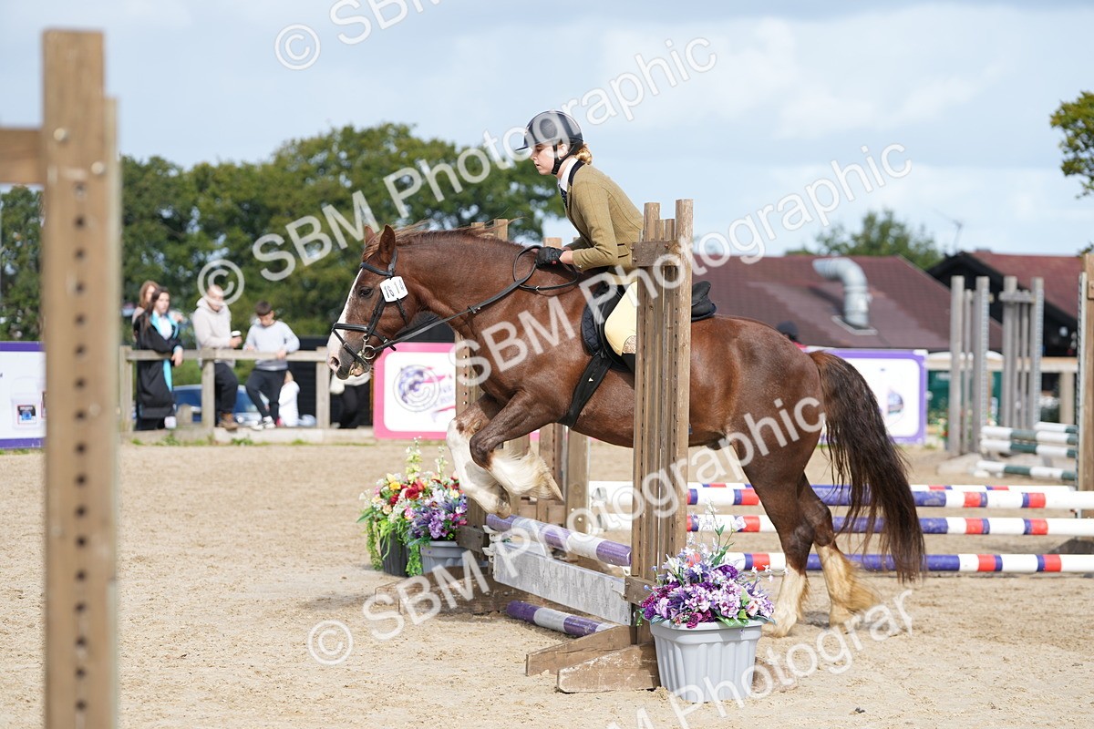 SBM_17875 - J58 - Clear Round 50cm