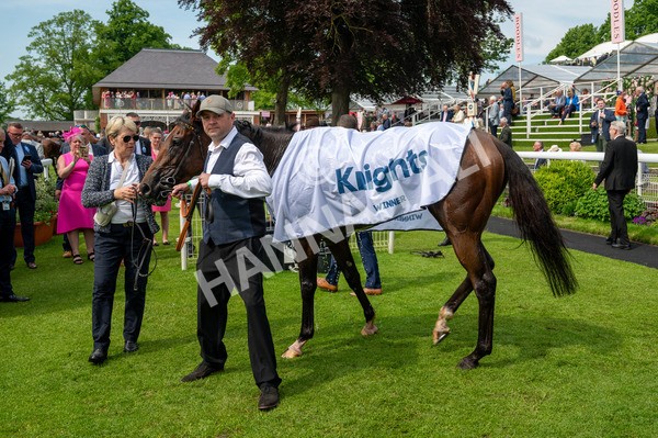 170524-Race 2-Botanical-8649 - Race 2 2.45pm Knights Solicitors Handicap