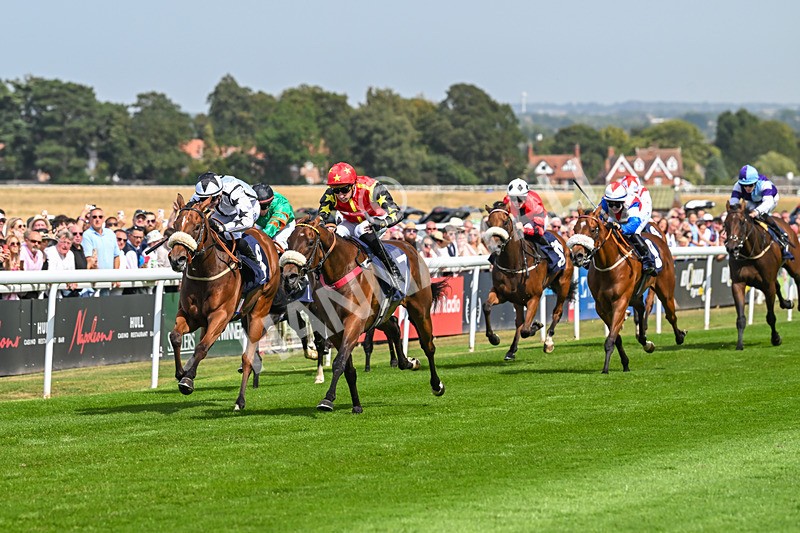 130825-Race 1-Arduis Invicta-6719 - Race 1