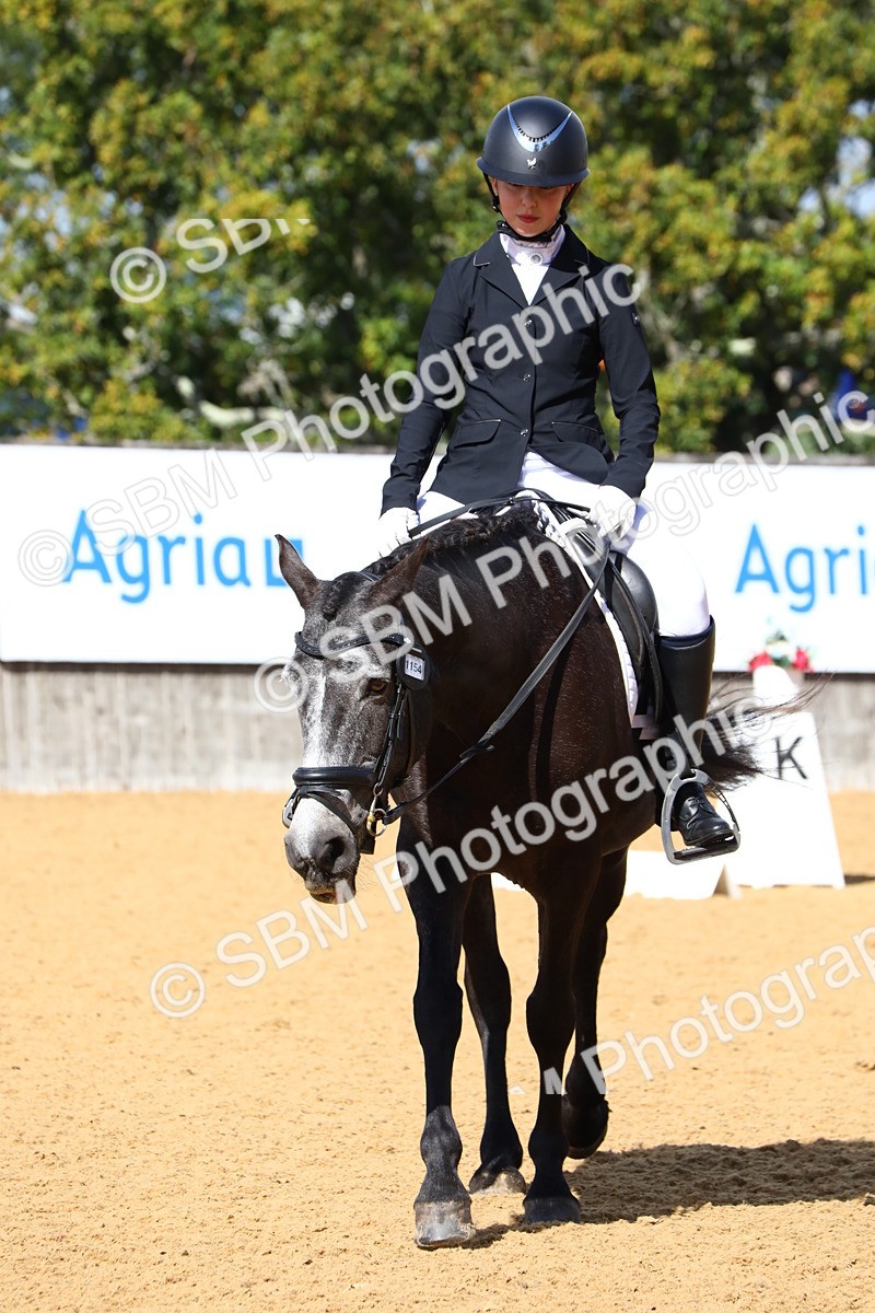 SBM_20812 - D5 - Small Tour Championshop Intro 2