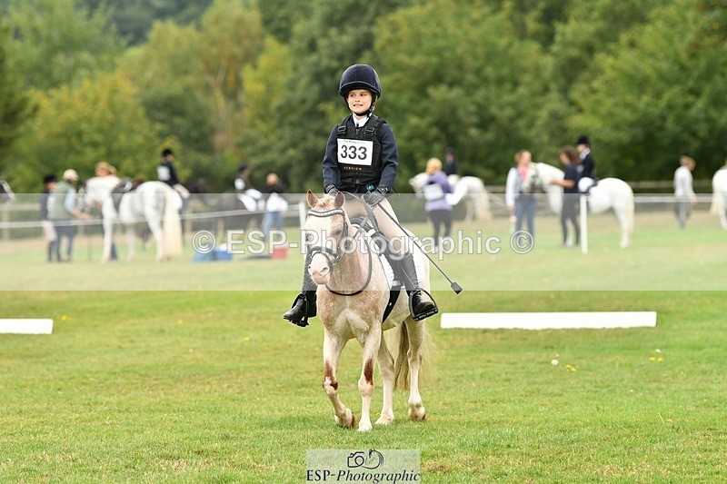 250820A-103739-04659 - Start to 11am