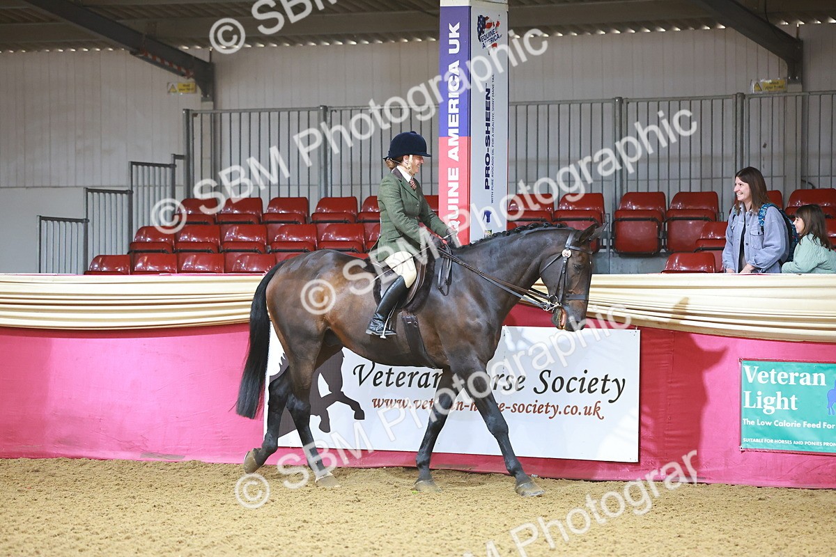 SBM_07563 - Class 101 - HOYS Veteran Qualifier - Ridden Diamond