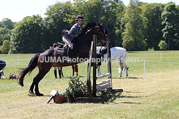 IMG_4006 - Working Hunter