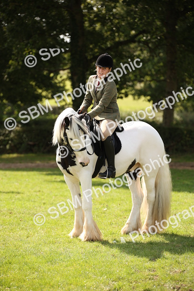 SBM_70097 - S65 - Piebald & Skewbald Horse Ridden