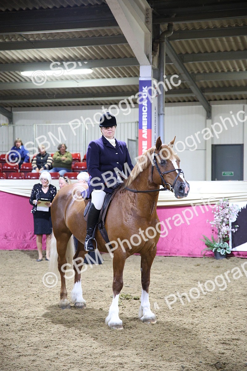 5K7A1594 - Class Q Style & Performance Champ