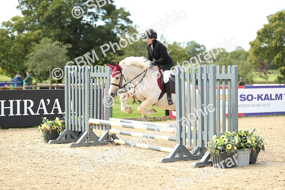 SBM_04601 - J28 - Senior Horse & Pony 60cm Championships