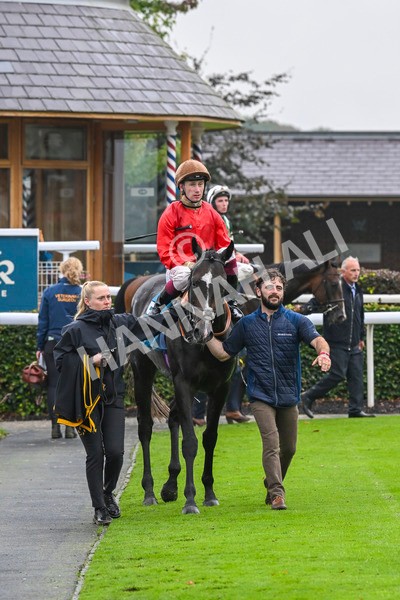 080924-Race 3-Brighton Boy-9073 - Race 3 2.50pm Irish Thoroughbred Marketing Nursery Handicap