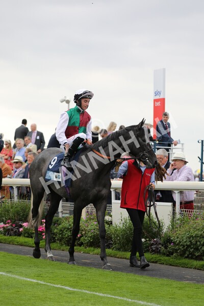 yr18082022r6-1 - Race 6 4.45 pm OR8wellness ebfstallions Nursery Handicap
