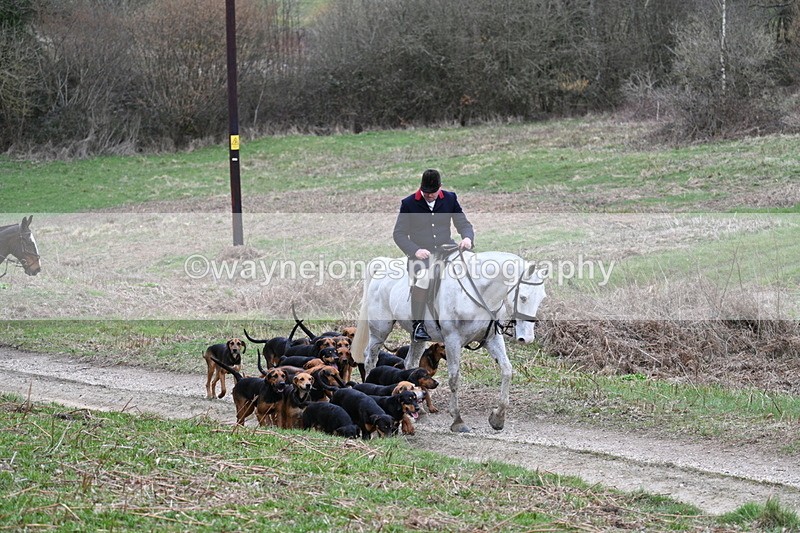 WJ7_7299 - Walk Home