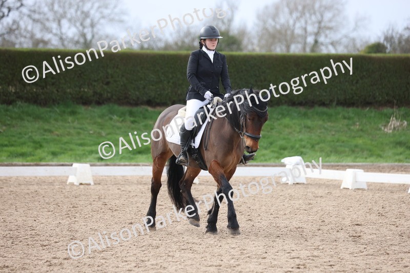 20260301-0927 - Class 6 - Elementary 5