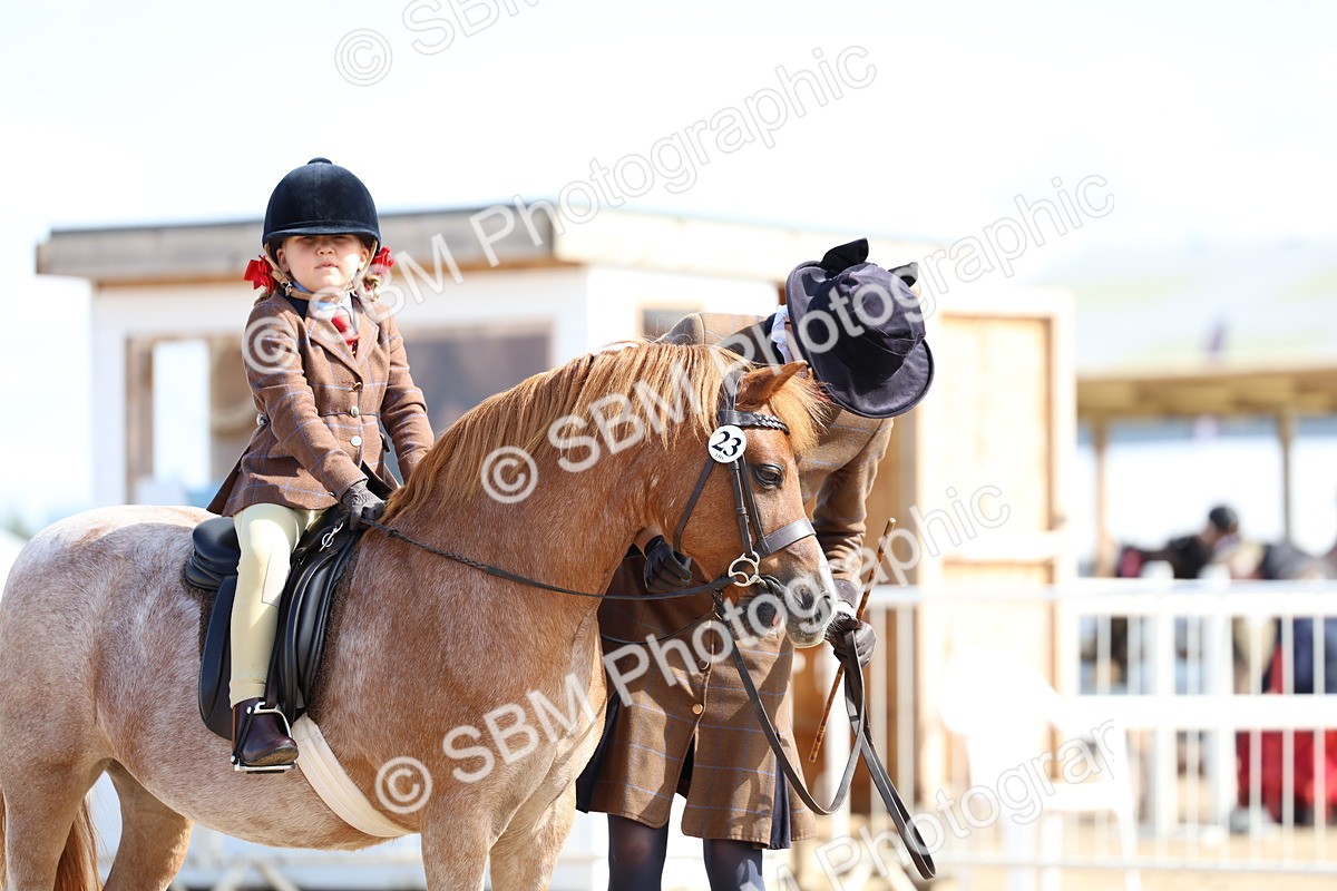 SBM_13107 - Class 309 - Lead Rein Pony