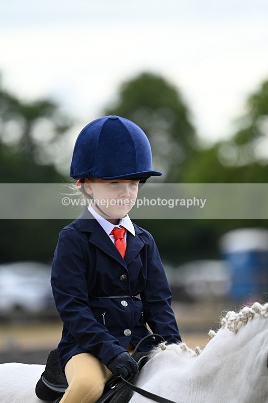 WJ7_9497 - Class 1 Lead Rein Pony
