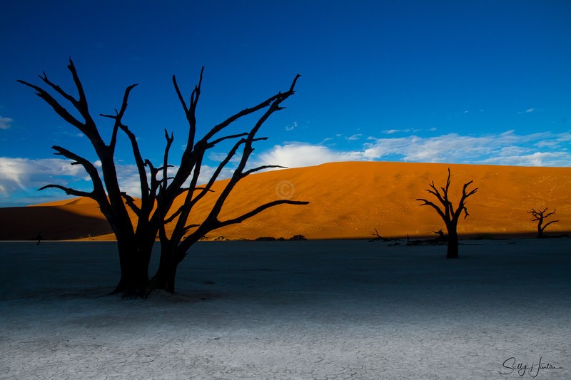 Deadvlei 3 - Landscapes