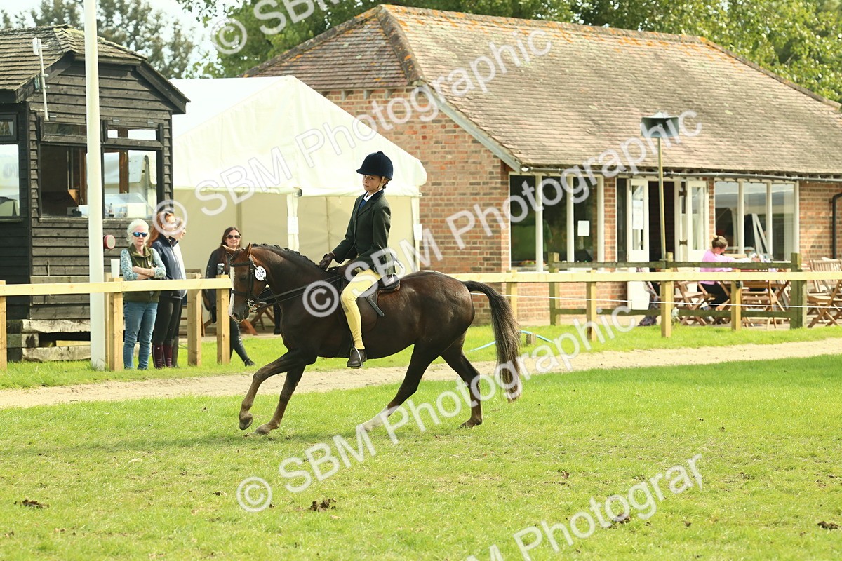 SBM_68059 - S57 - Part Bred Pony Ridden