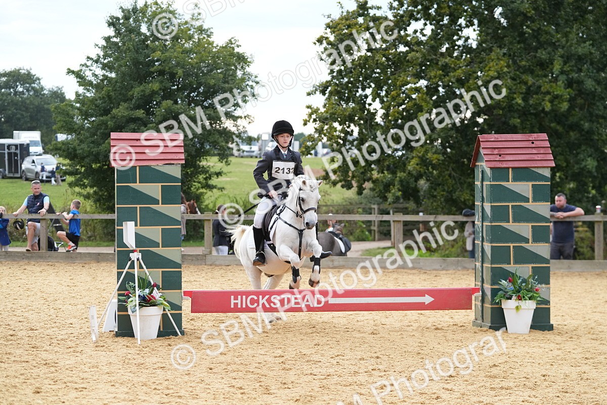 SBM_74780 - J4 - Mini Tour Junior Pony 45cm Championship