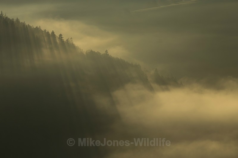 Early morning mist, LLangollen, North Wales - ANGLESEY @ NORTH WALES LANDSCAPE PHOTOGRAPHY