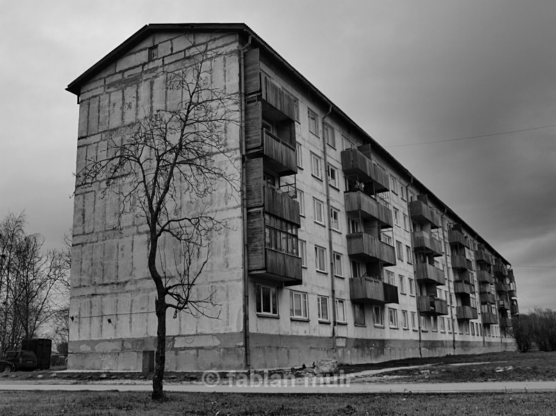 Fabian Muir Estonia