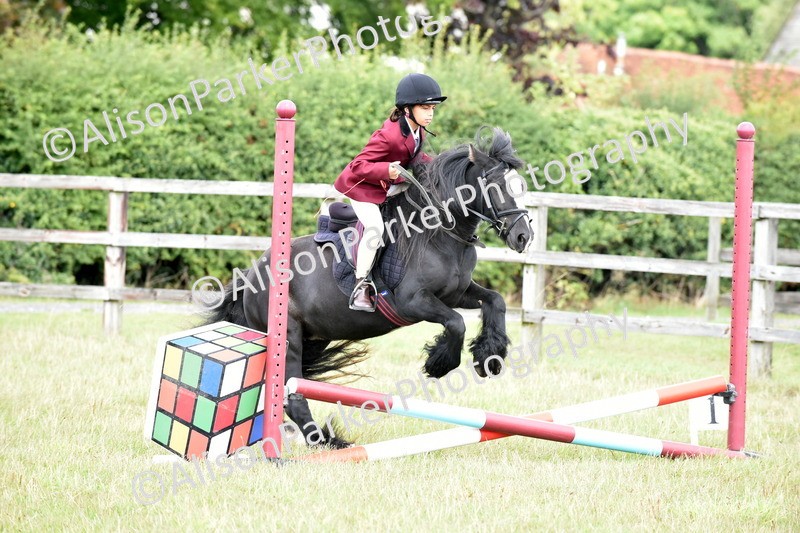 20250831-1777 - Class 8 - Hoof and Foot