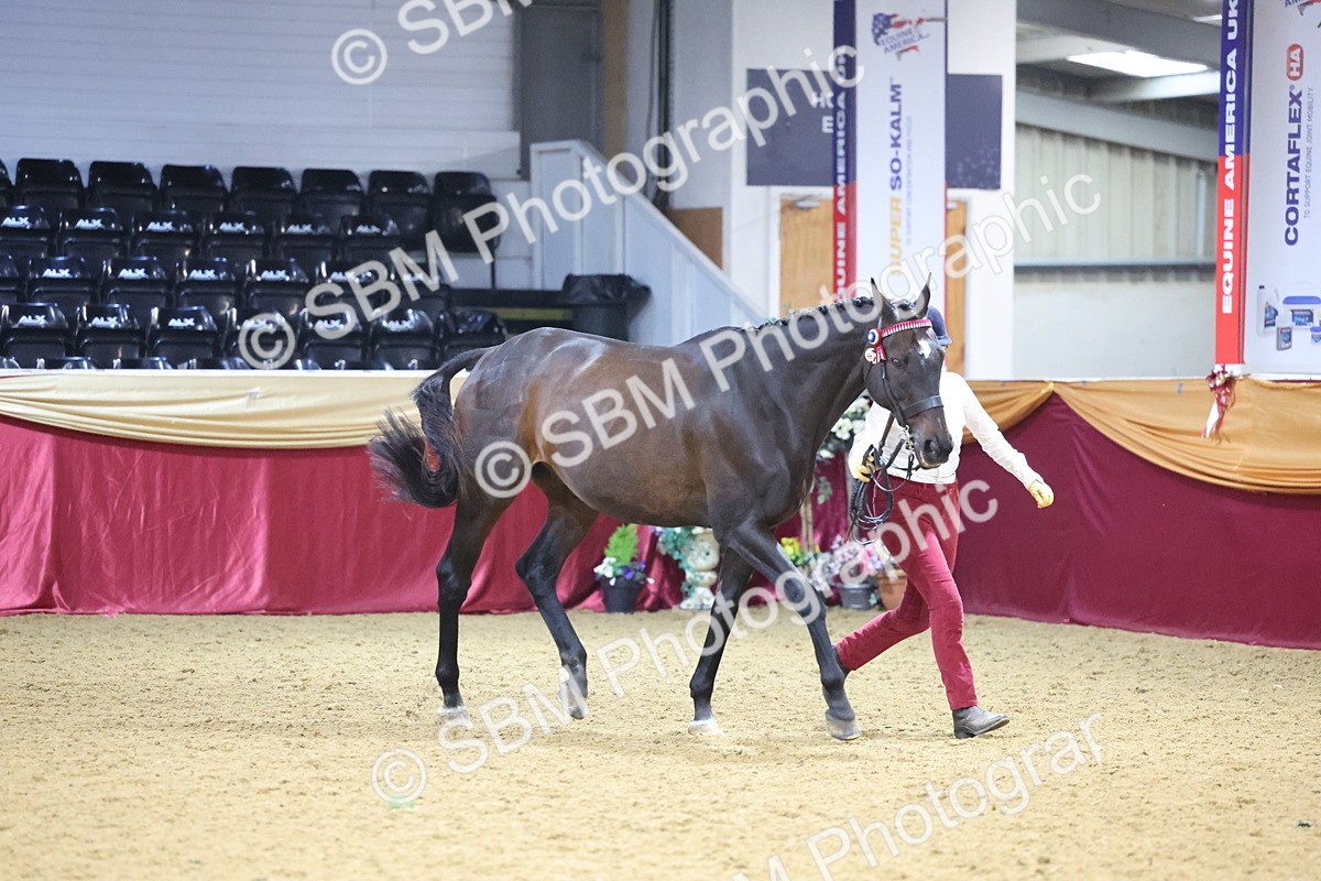SBM_20781 - Class 902 - Supreme Final IH Veteran