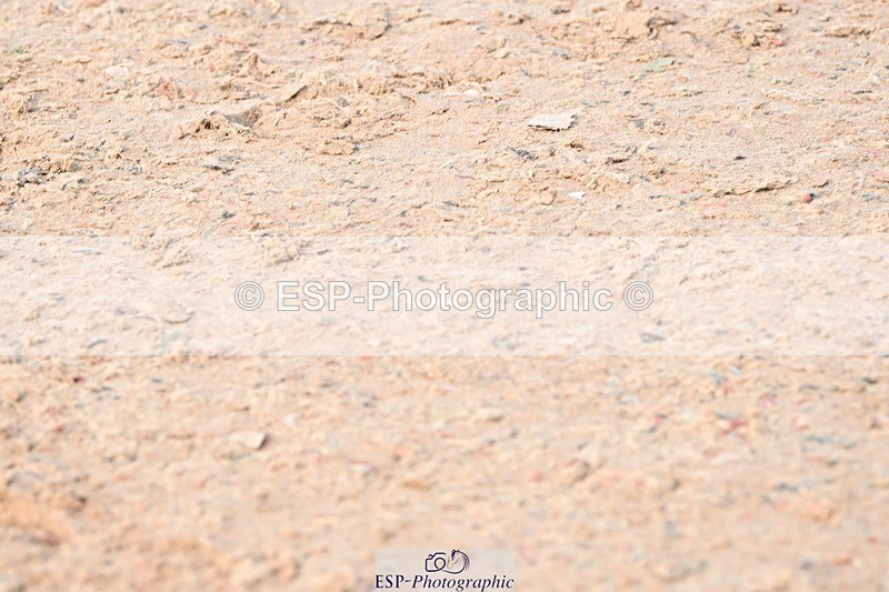 250424-095404-03746 - Cls 13 - 1 Star Bronze Tour