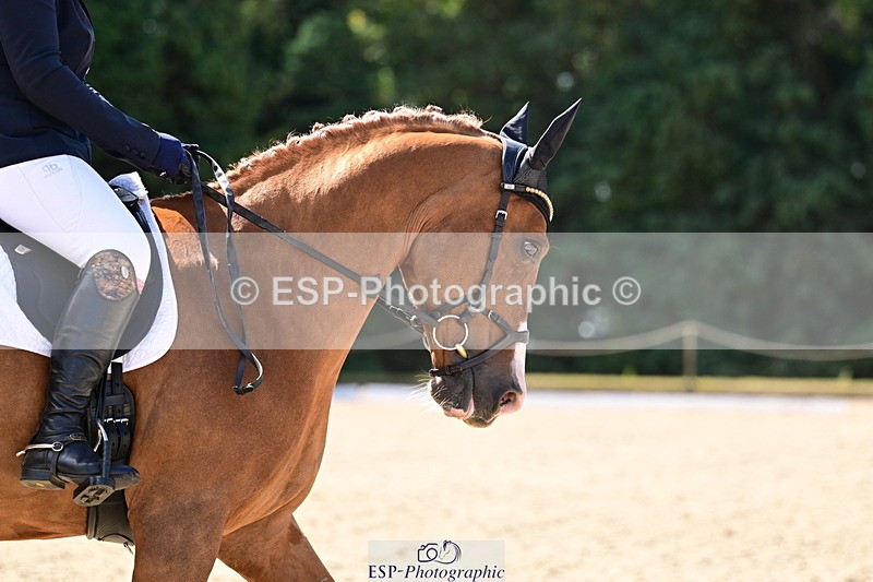 260731A-111312-00258 - Elementary Bronze 10.30 - Break