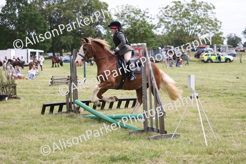 20260614-4070 - Class 24 - Mini and Major Pairs Jumping