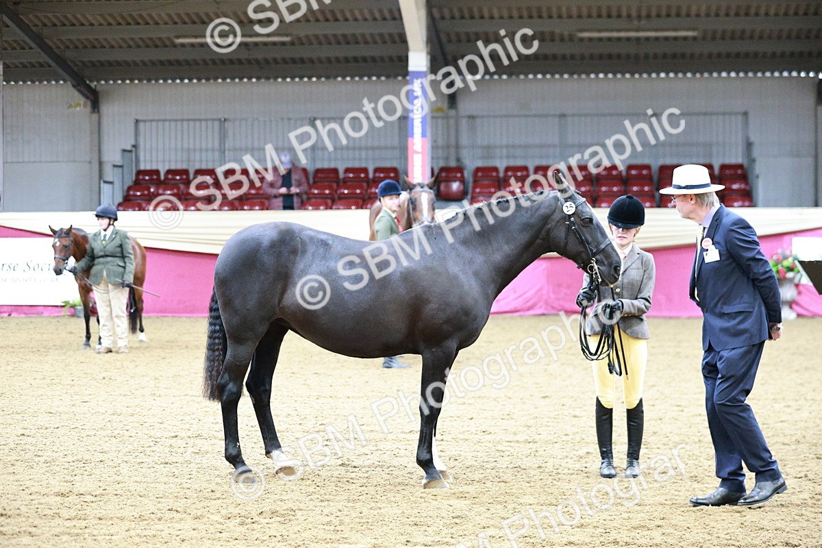 SBM_00220 - Class 1A - Area IH Diamond