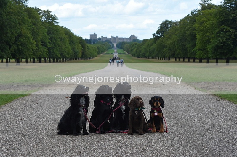 TT3_0492 - Time at Crossing 14:53 to 1526