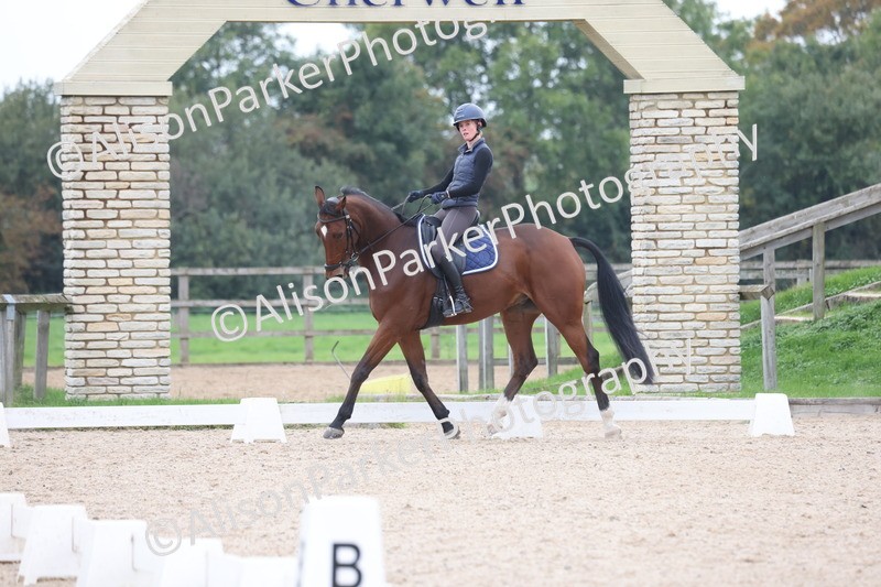 20251011-0593 - Class 8 - CCI3