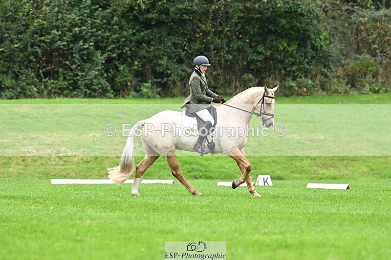 241024-125252-03546 - 519-Jane.Rogers-CORRIEVIEW.MERLIN.MAGIC