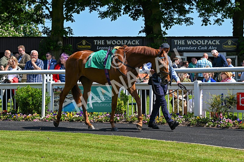 180524-Race 2-Bountiful-9128 - Race 2