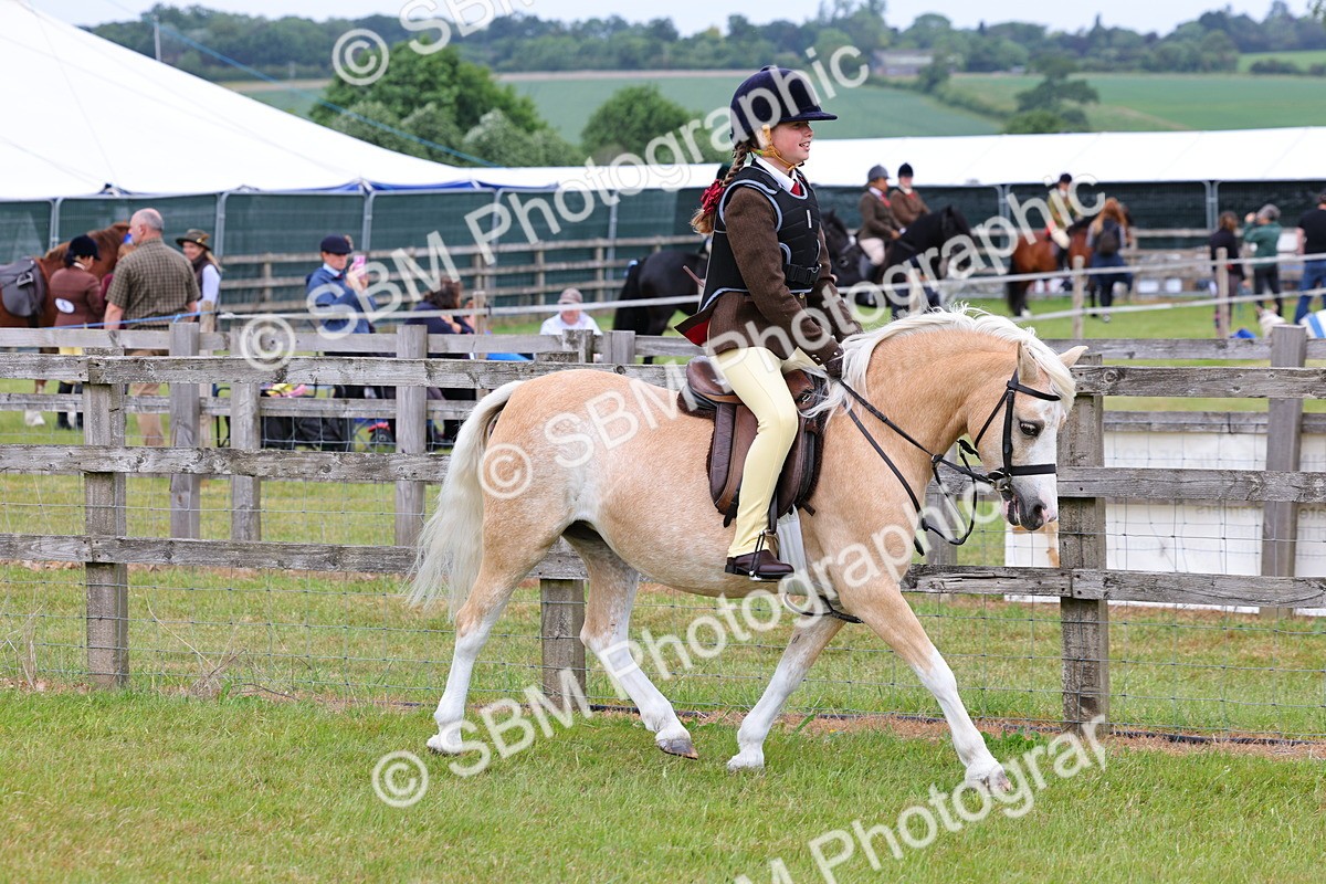 SBM_08485 - Class 42-43 - LIHS BSPS Heritage Working Sports Pony