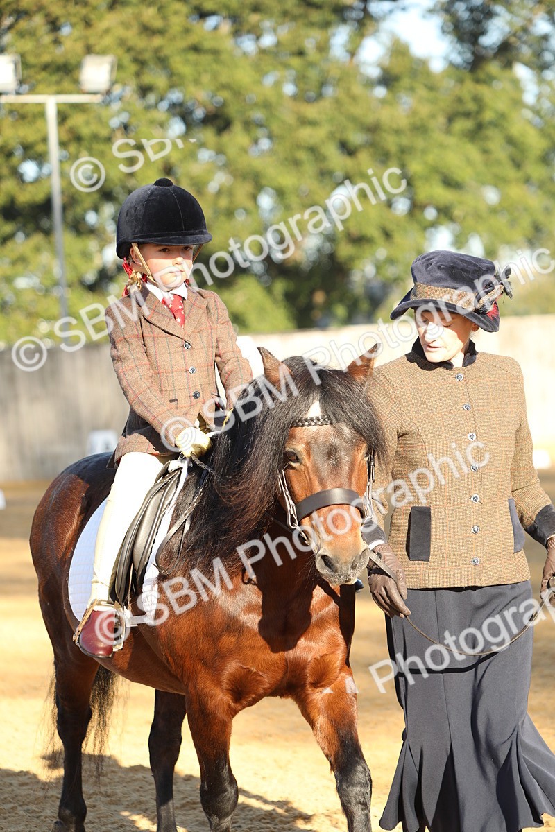 SBM_33670 - D26 - Starers - Lead Rein