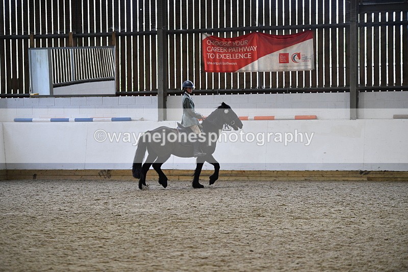 WJ5_7883 - Class 13 Ridden Part Breed