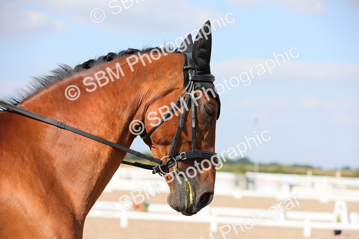 SBM_07810 - Class 33 Elementary 1